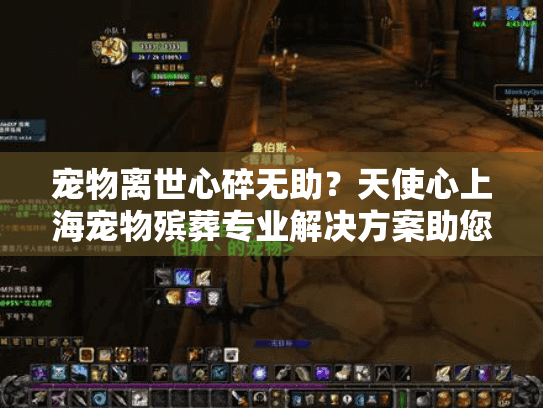 宠物离世心碎无助？天使心上海宠物殡葬专业解决方案助您安心告别