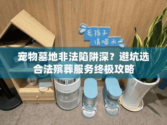 宠物墓地非法陷阱深?避坑选合法殡葬服务终极攻略 宠物墓地非法陷阱深?避坑选合法殡葬服务终极攻略
