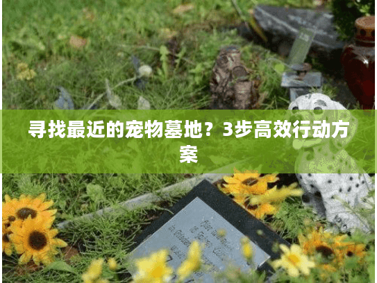 寻找最近的宠物墓地?3步高效行动方案 寻找最近的宠物墓地?3步高效行动方案