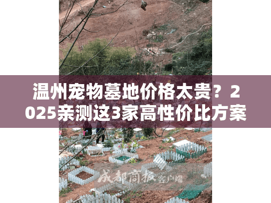 温州宠物墓地价格太贵?2025亲测这3家高性价比方案 温州宠物墓地价格太贵?2025亲测这3家高性价比方案