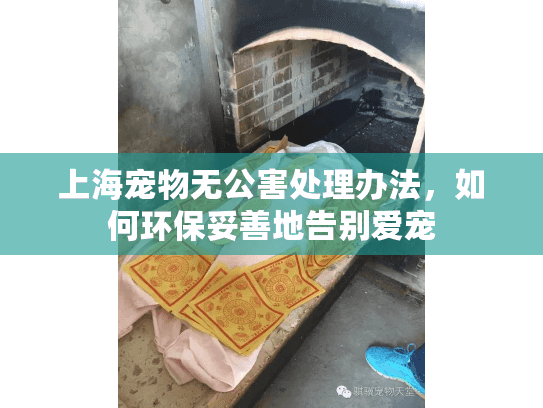 上海宠物无公害处理办法，如何环保妥善地告别爱宠