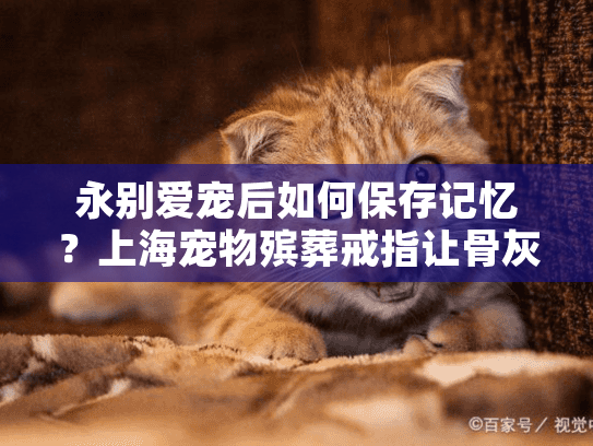 永别爱宠后如何保存记忆？上海宠物殡葬戒指让骨灰化为永恒信物