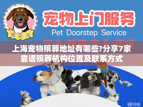 上海宠物殡葬地址有哪些?分享7家靠谱殡葬机构位置及联系方式