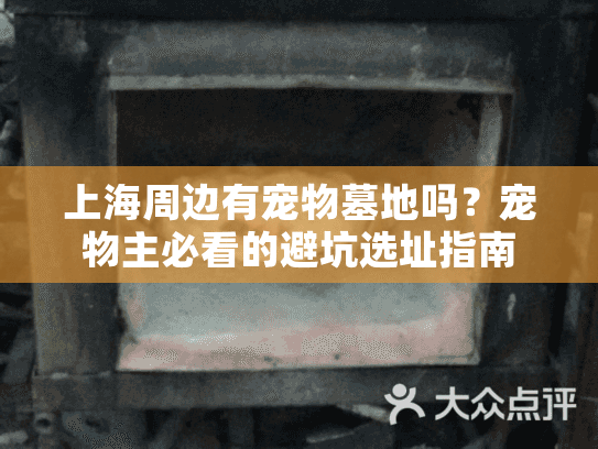 上海周边有宠物墓地吗？宠物主必看的避坑选址指南