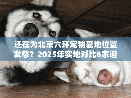 还在为北京六环宠物墓地位置发愁？2025年实地对比6家避坑指南