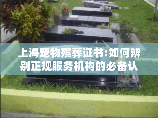 上海宠物殡葬证书:如何辨别正规服务机构的必备认证?