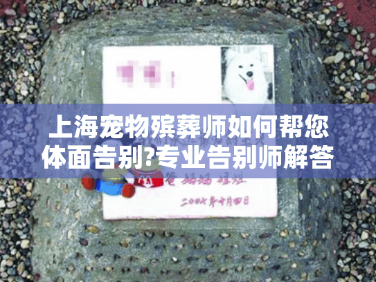 上海宠物殡葬师如何帮您体面告别?专业告别师解答3大担忧