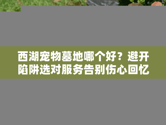 西湖宠物墓地哪个好？避开陷阱选对服务告别伤心回忆