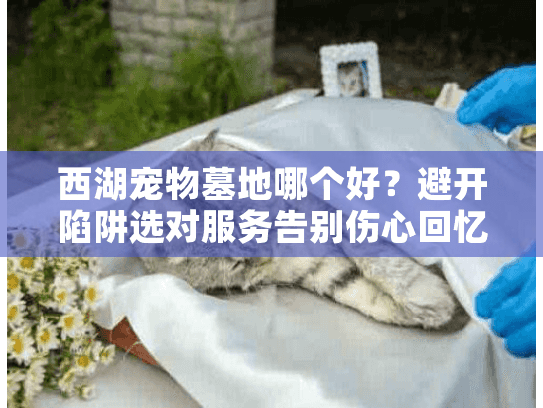 西湖宠物墓地哪个好？避开陷阱选对服务告别伤心回忆