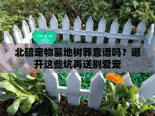 北碚宠物墓地树葬靠谱吗？避开这些坑再送别爱宠