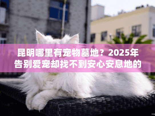 昆明哪里有宠物墓地？2025年告别爱宠却找不到安心安息地的终极解决方案