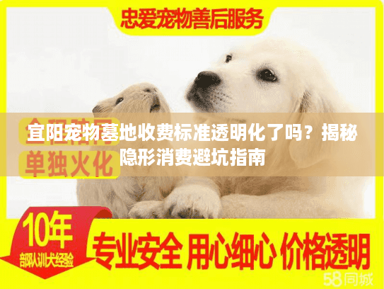 宜阳宠物墓地收费标准透明化了吗？揭秘隐形消费避坑指南