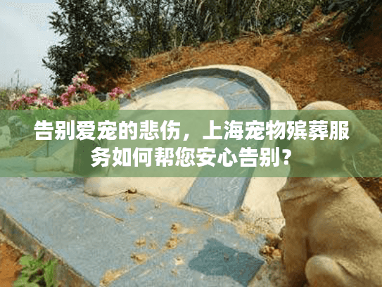 告别爱宠的悲伤，上海宠物殡葬服务如何帮您安心告别？