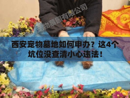 西安宠物墓地如何申办？这4个坑位没查清小心违法！