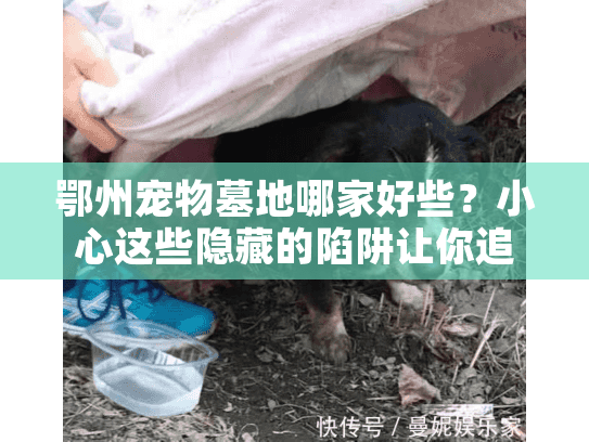鄂州宠物墓地哪家好些？小心这些隐藏的陷阱让你追悔莫及