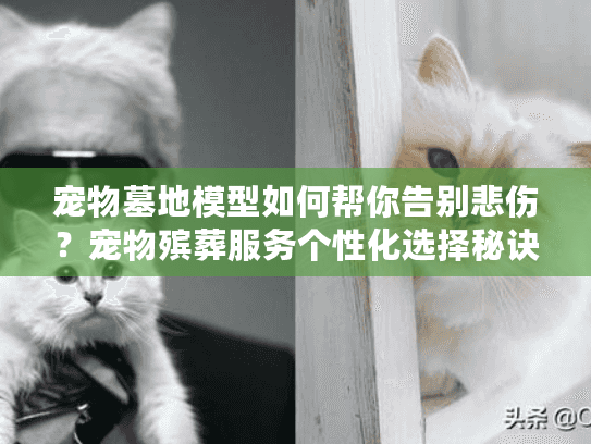 宠物墓地模型如何帮你告别悲伤？宠物殡葬服务个性化选择秘诀