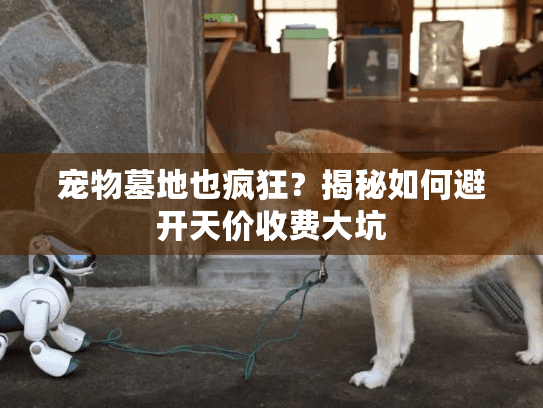 宠物墓地也疯狂?揭秘如何避开天价收费大坑 宠物墓地也疯狂?揭秘如何避开天价收费大坑