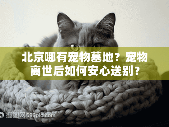北京哪有宠物墓地？宠物离世后如何安心送别？