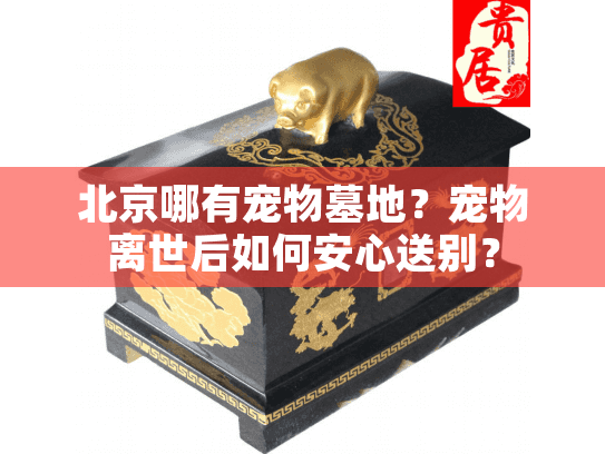 北京哪有宠物墓地？宠物离世后如何安心送别？