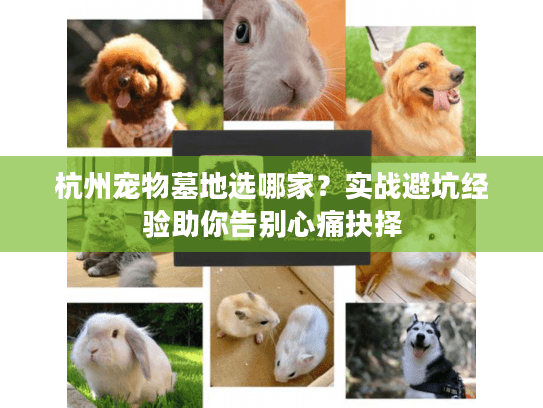 杭州宠物墓地选哪家？实战避坑经验助你告别心痛抉择