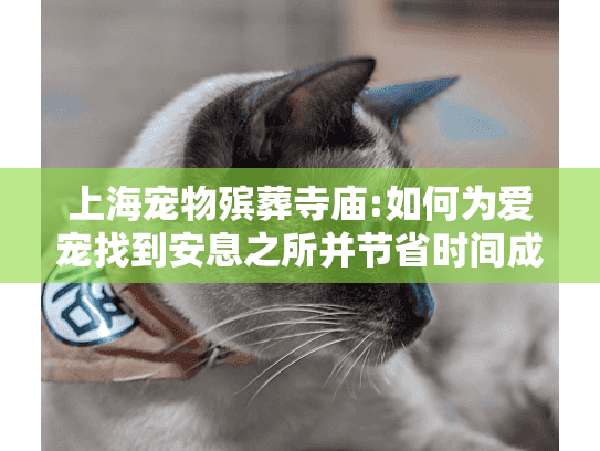上海宠物殡葬寺庙:如何为爱宠找到安息之所并节省时间成本?