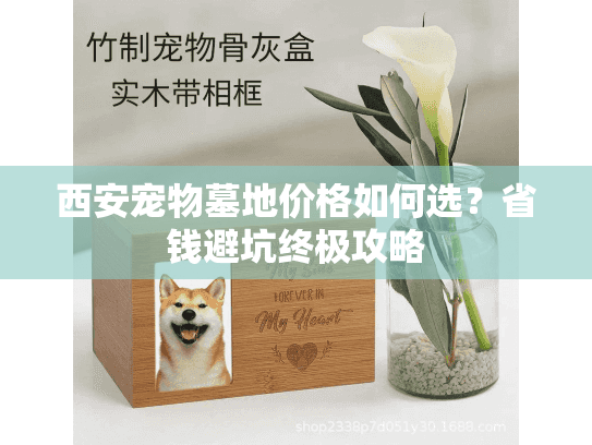 西安宠物墓地价格如何选？省钱避坑终极攻略