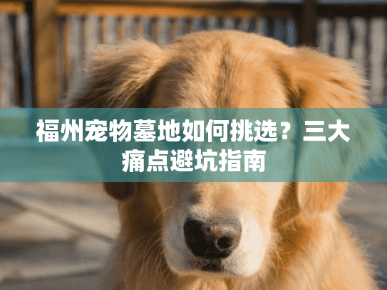 福州宠物墓地如何挑选？三大痛点避坑指南