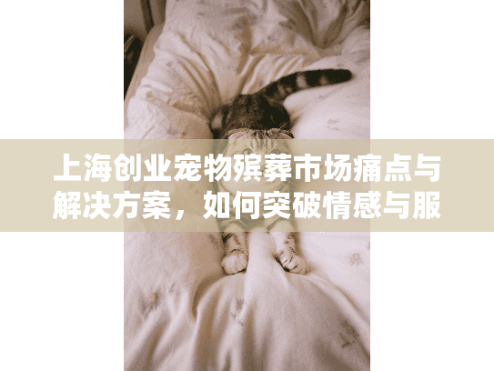 上海创业宠物殡葬市场痛点与解决方案，如何突破情感与服务挑战