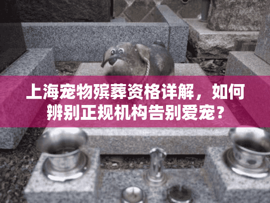 上海宠物殡葬资格详解，如何辨别正规机构告别爱宠？