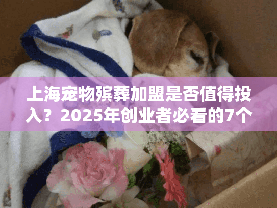 上海宠物殡葬加盟是否值得投入？2025年创业者必看的7个关键数据