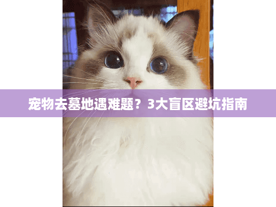 宠物去墓地遇难题？3大盲区避坑指南