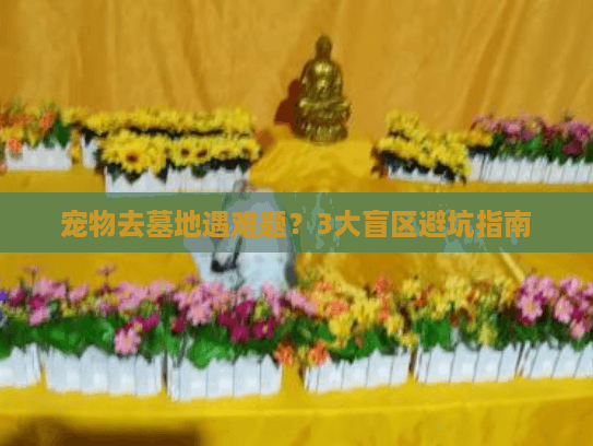 宠物去墓地遇难题？3大盲区避坑指南