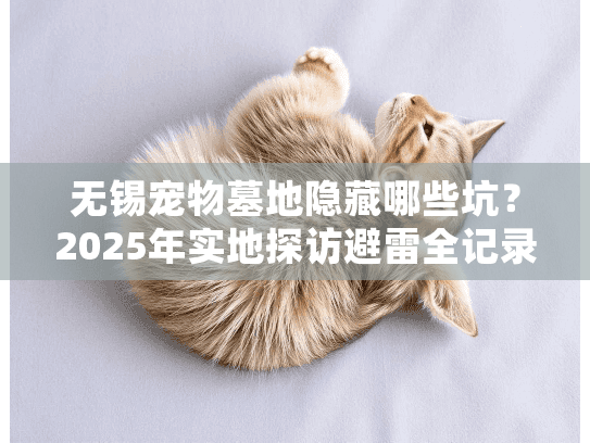 无锡宠物墓地隐藏哪些坑?2025年实地探访避雷全记录 无锡宠物墓地隐藏哪些坑?2025年实地探访避雷全记录