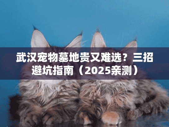 武汉宠物墓地贵又难选?三招避坑指南(2025亲测) 武汉宠物墓地贵又难选?三招避坑指南(2025亲测)