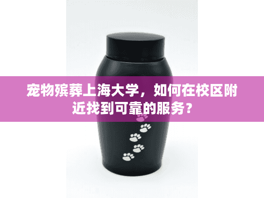 宠物殡葬上海大学，如何在校区附近找到可靠的服务？