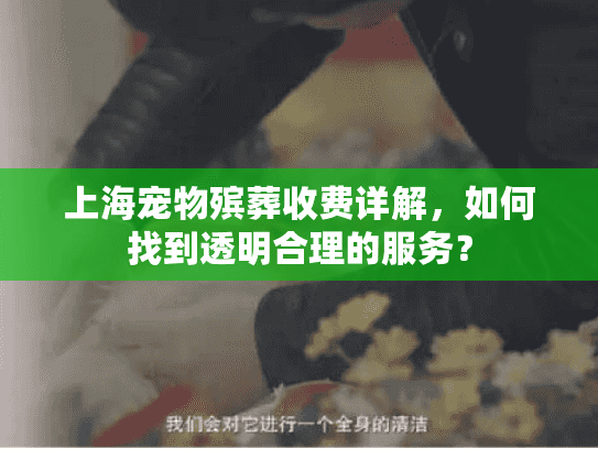 上海宠物殡葬收费详解，如何找到透明合理的服务？