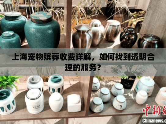 上海宠物殡葬收费详解，如何找到透明合理的服务？