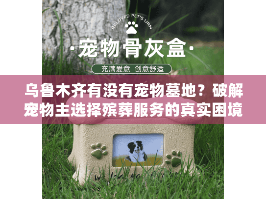 乌鲁木齐有没有宠物墓地？破解宠物主选择殡葬服务的真实困境