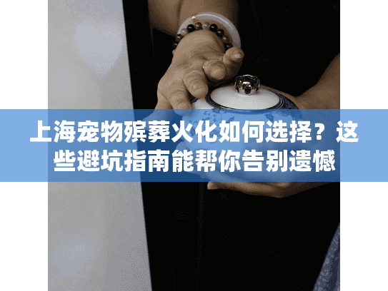 上海宠物殡葬火化如何选择？这些避坑指南能帮你告别遗憾