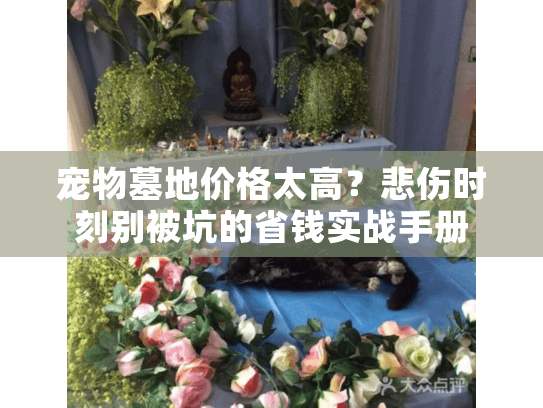 宠物墓地价格太高？悲伤时刻别被坑的省钱实战手册