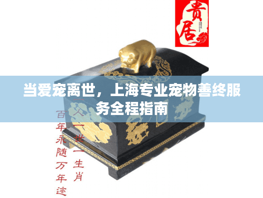 当爱宠离世，上海专业宠物善终服务全程指南