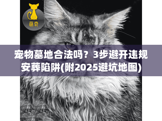 宠物墓地合法吗？3步避开违规安葬陷阱(附2025避坑地图)