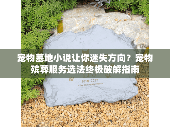 宠物墓地小说让你迷失方向？宠物殡葬服务选法终极破解指南