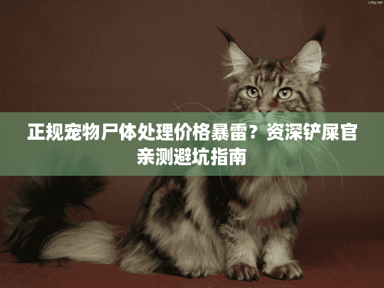 正规宠物尸体处理价格暴雷?资深铲屎官亲测避坑指南 正规宠物尸体处理价格暴雷?资深铲屎官亲测避坑指南