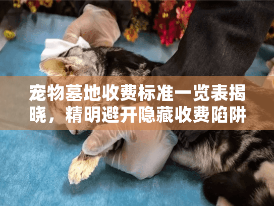 宠物墓地收费标准一览表揭晓,精明避开隐藏收费陷阱? 宠物墓地收费标准一览表揭晓,精明避开隐藏收费陷阱?