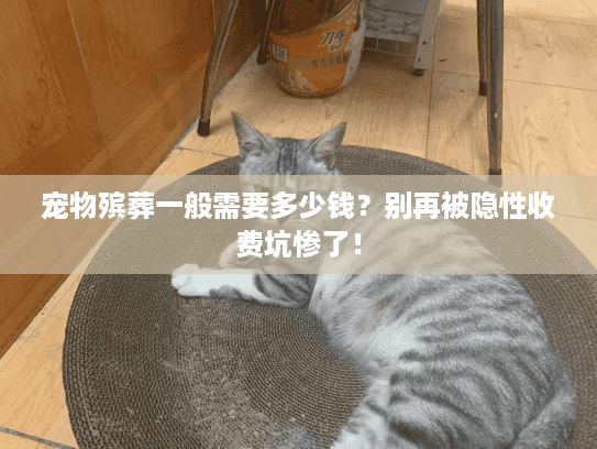 宠物殡葬一般需要多少钱?别再被隐性收费坑惨了! 宠物殡葬一般需要多少钱?别再被隐性收费坑惨了!