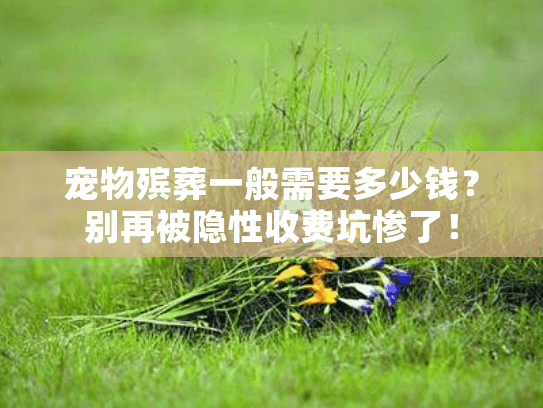 宠物殡葬一般需要多少钱?别再被隐性收费坑惨了! 宠物殡葬一般需要多少钱?别再被隐性收费坑惨了!