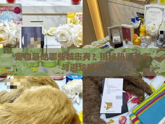 宠物墓地哪些城市有？揭秘热门分布与避坑秘诀