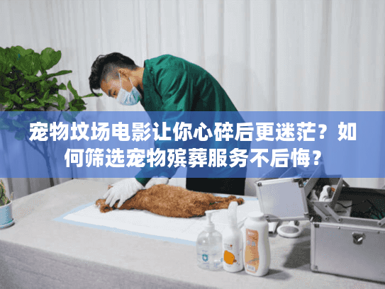 宠物坟场电影让你心碎后更迷茫?如何筛选宠物殡葬服务不后悔? 宠物坟场电影让你心碎后更迷茫?如何筛选宠物殡葬服务不后悔?