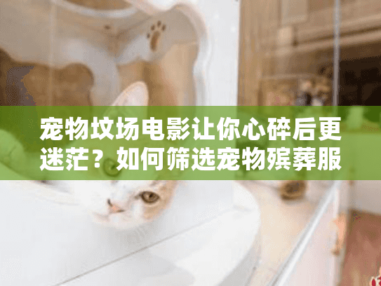 宠物坟场电影让你心碎后更迷茫?如何筛选宠物殡葬服务不后悔? 宠物坟场电影让你心碎后更迷茫?如何筛选宠物殡葬服务不后悔?